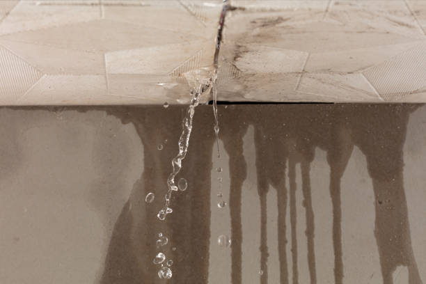 Professional Water Damage Restoration technician working in Wayside, TX